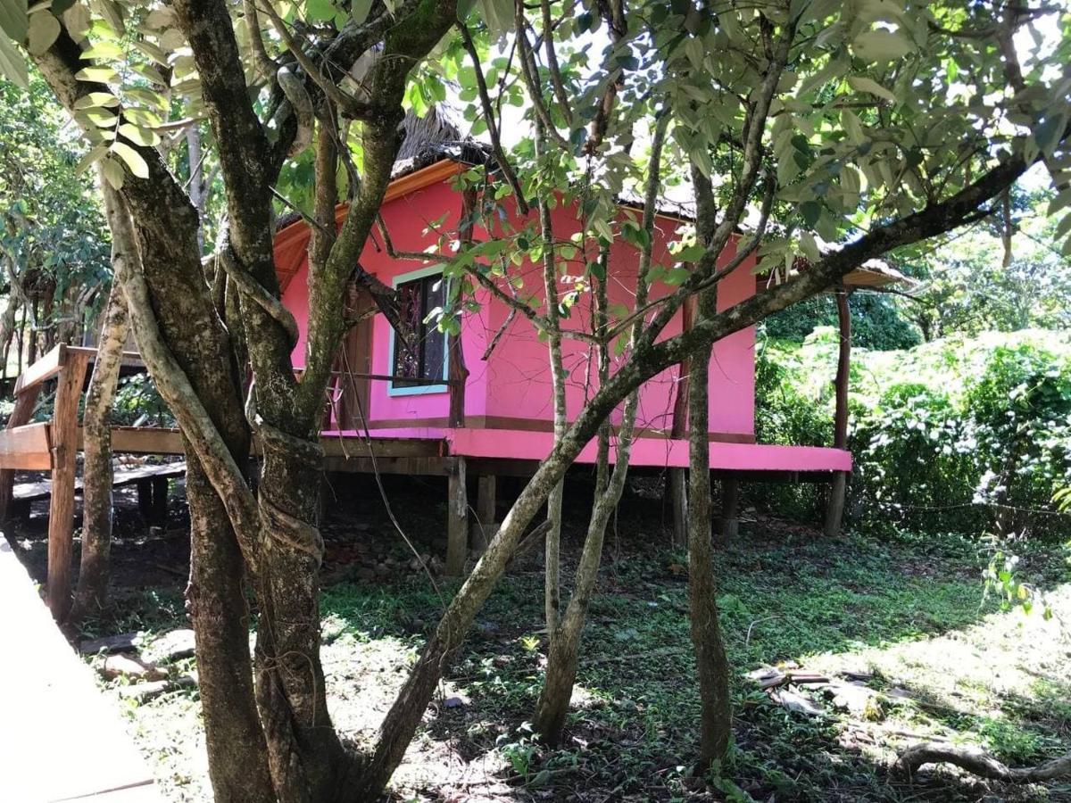 Gibbon Lodge Saen Monourom Extérieur photo